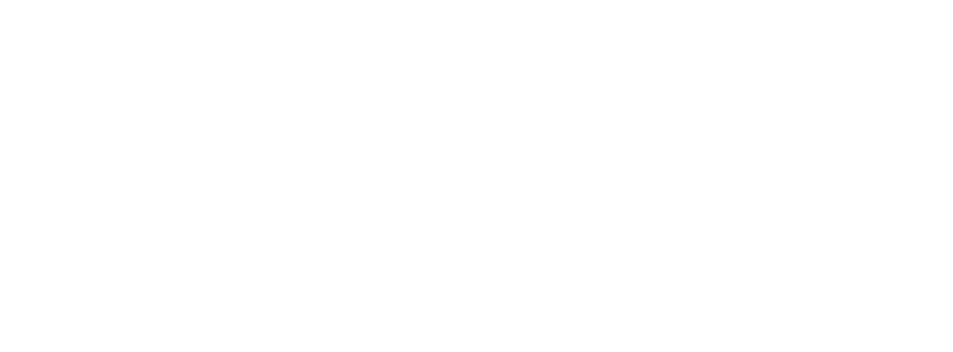 on point logo white