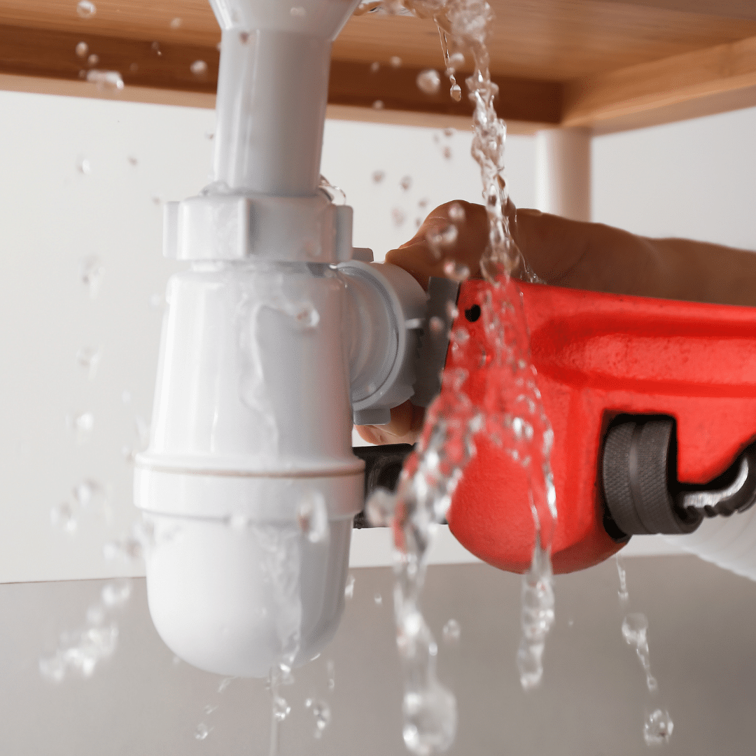 Water Purification Services