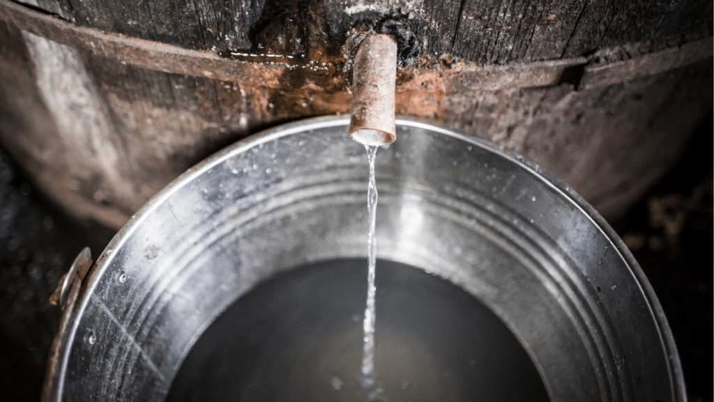 Leak Detection Services in Early, TX